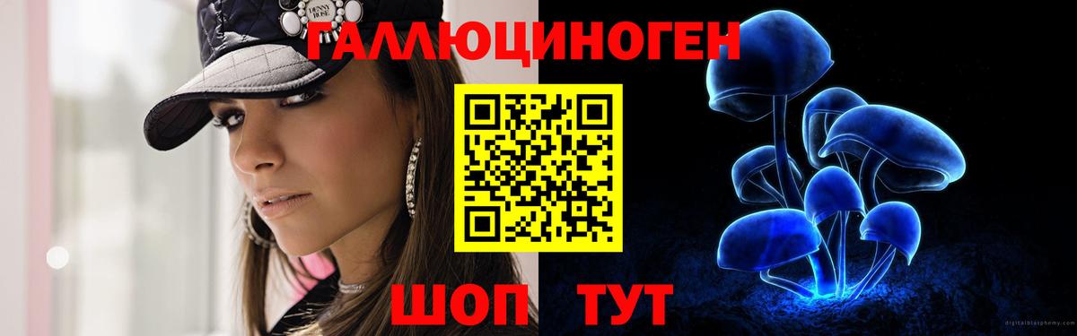 Усолье-Сибирское  Псилоцибиновые грибы GOLDEN TEACHER  Псилоцибиновые грибы GOLDEN TEACHER  Вход с VPN 